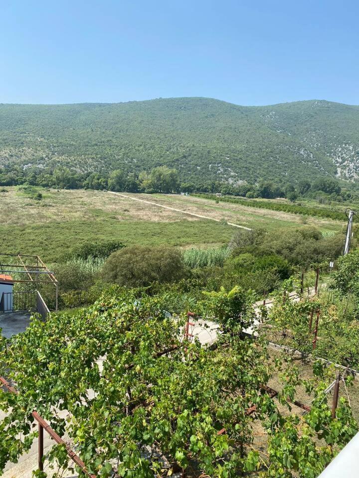 Apartment Angelina Чаплина Экстерьер фото